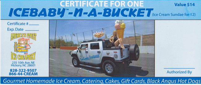 Icebaby gift coupon
